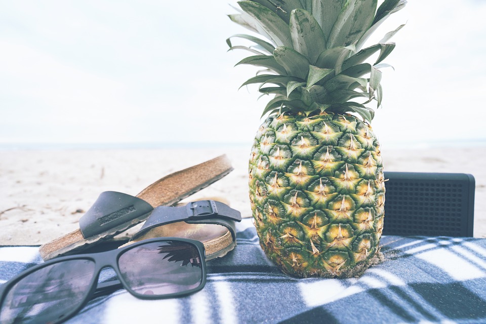 owoc anansu na kocu na plaży